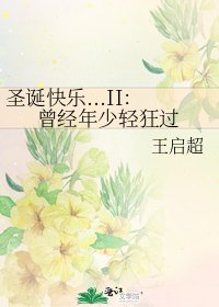 《聖誕快樂...II:曾經年少輕狂過》