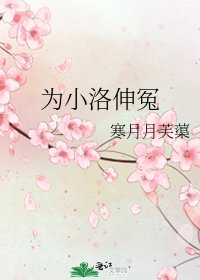 《為小洛伸冤》