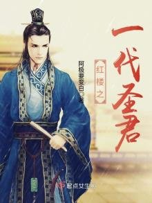 《紅樓之一代聖君》