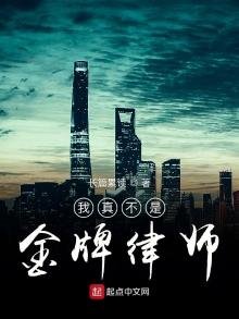 《我真不是金牌律師》