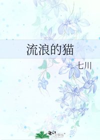 《流浪的貓》