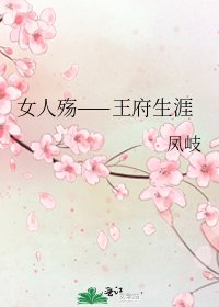 《女人殇——王府生涯》