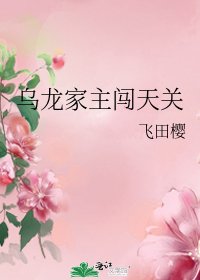 《烏龍家主闖天關》