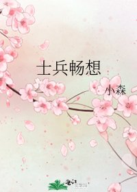《士兵畅想》