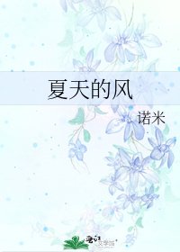 《夏天的风》