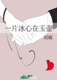 《一片冰心在玉壶》