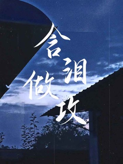 《含淚做攻》