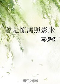 《曾是驚鴻照影來》