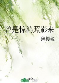 《曾是驚鴻照影來》