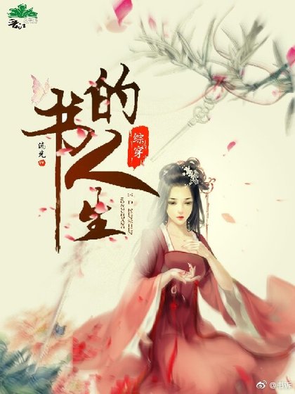 《綜穿書的人生》