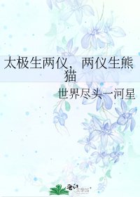 《太极生两仪,两仪生熊猫》
