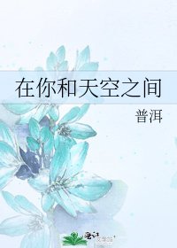 《在你和天空之間》