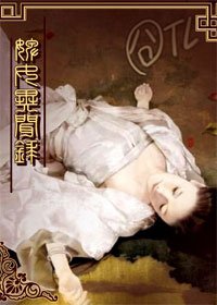 《婢女异闻录》