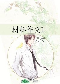 《材料作文1》