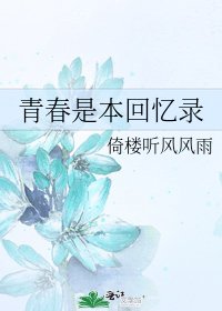 《青春是本回憶錄》