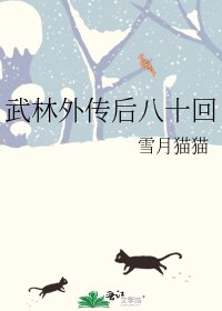 《武林外传后八十回》