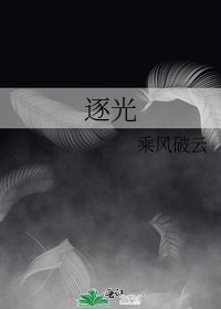 《逐光》