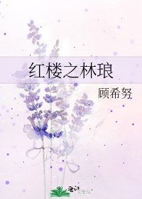 《紅樓之林琅》
