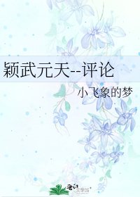 《颖武元天--评论》