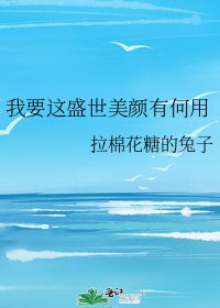 《我要这盛世美颜有何用》
