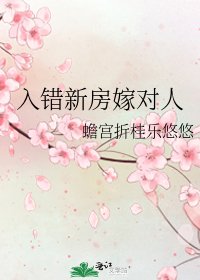 《入錯新漳嫁對人》