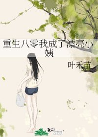 《重生八零我成了漂亮小姨》