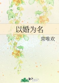 《以婚为名》