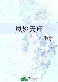 《凤翅天翔》