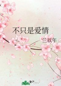 《不只是爱情》