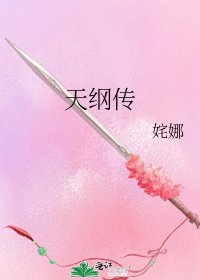 《天綱傳》