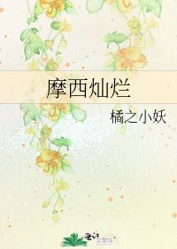 《摩西燦爛》