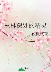 《丛林深处的精灵》