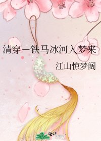 《清穿-鐵馬冰河入夢來》
