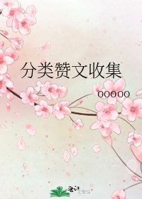 《分類贊文收集》