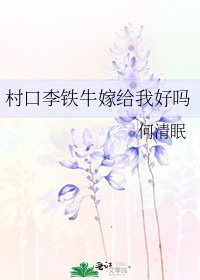 《村口李鐵牛嫁給我好嗎》