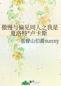 《傲慢與偏見同人之我是夏洛特*盧卡斯》