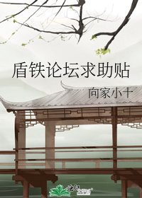 《盾鐵論壇求助貼》