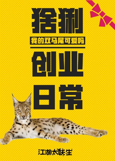 《猞猁创业日常》