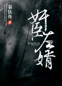 《奸臣左婿》