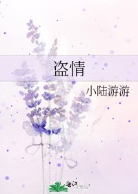 《盗情》