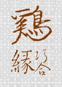 《雞緣巧合??》