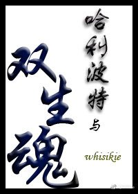 《哈利·波特與雙生魂》