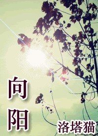 《向阳》