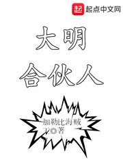 《大明合夥人》