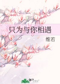 《只為與你相遇》