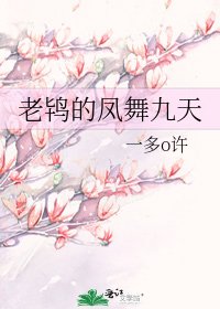 《老鴇的鳳舞九天》