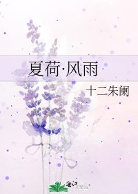 《夏荷·风雨》