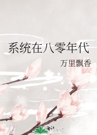 《系統在八零年代》