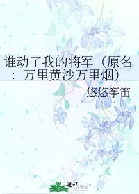 《谁动了我的将军(原名:万里黄沙万里烟)》