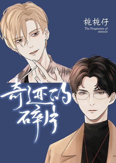 《奇蹟的碎片》